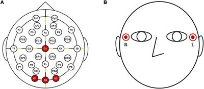 Novel Hybrid Brain-Computer Interface for Virtual Reality Applications Using Steady-State Visual-Evoked Potential-Based Brain–Computer Interface and Electrooculogram-Based Eye Tracking for Increased Information Transfer Rate